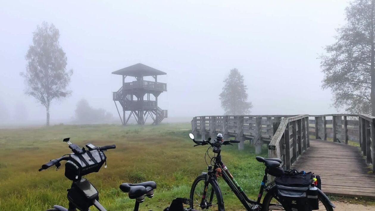 Królewska historia na rowerze. Nowa trasa prowadzi przez Puszczę Białowieską