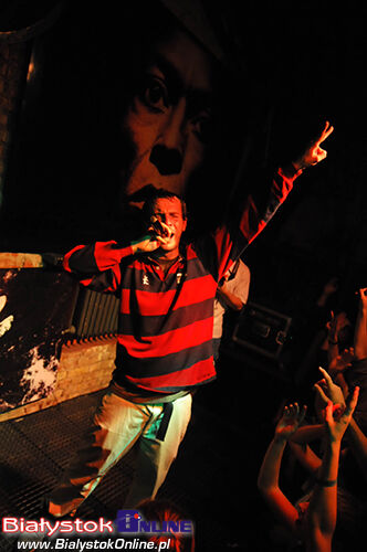 Koncert TeTris i O.S.T.R.