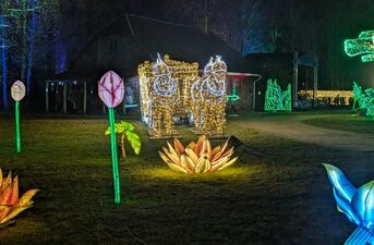 Bajki, światła i bohaterowie książek. Dziś otwarcie Lumina Park