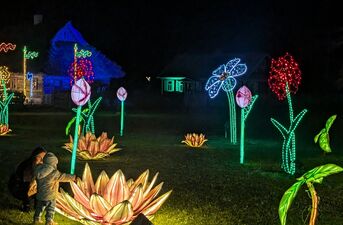 Bajki, światła i bohaterowie książek. Dziś otwarcie Lumina Park
