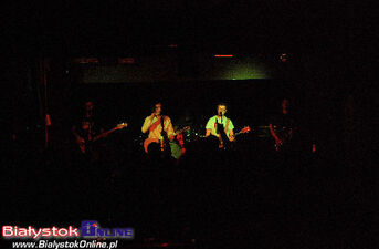 Koncert Akurat