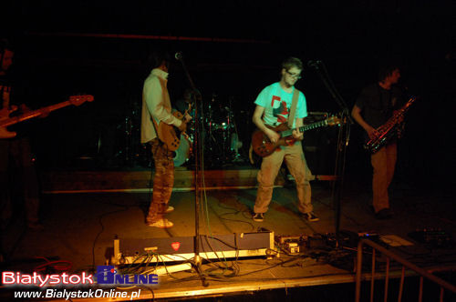 Koncert Akurat