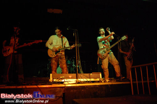 Koncert Akurat