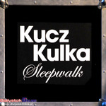 Dni Sztuki Współczesnej 2010: Koncert Kucz/Kulka