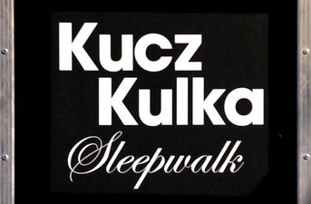 Dni Sztuki Współczesnej 2010: Koncert Kucz/Kulka