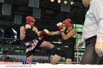 Gala Shindokai Karate i Muaythai Night of White Bears II