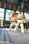Gala Shindokai Karate i Muaythai Night of White Bears II
