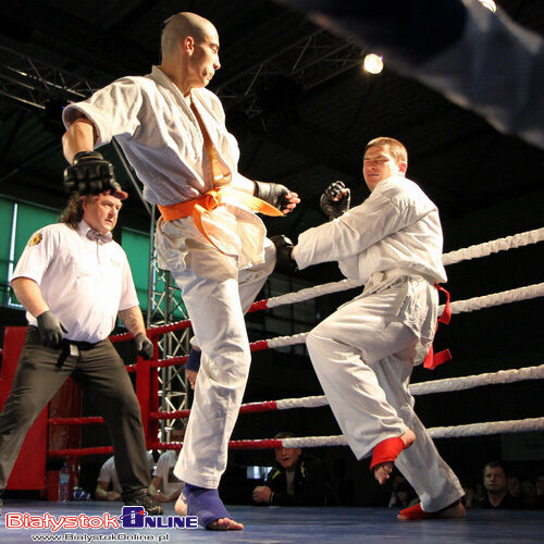 Gala Shindokai Karate i Muaythai \"Night of White Bears III\"