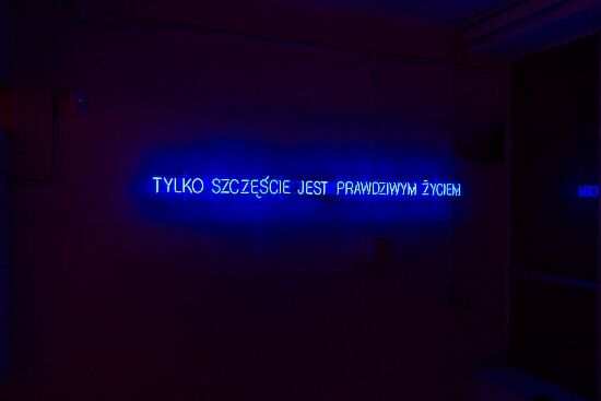 Historia i utopia - wystawa Huberta Czerepoka w Galerii Arsenał