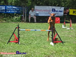 Piknik Agility