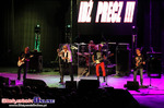 Koncert Perfect