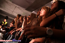 Węglowa 8/10. Koncert Happysad i in.