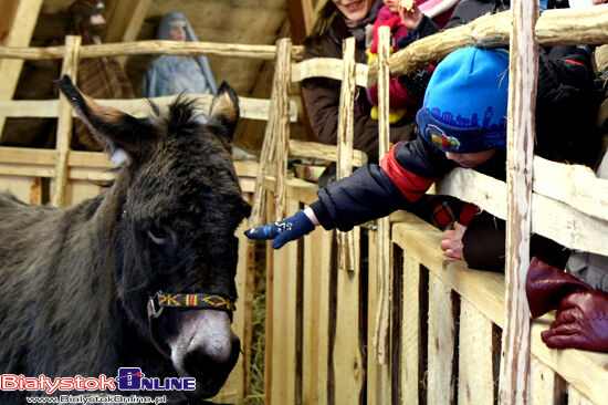 Jarmark bożonarodzeniowy i żywa szopka na Rynku Kościuszki