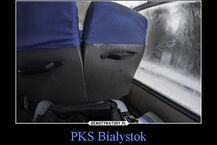 Najpopularniejsze białostockie memy