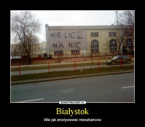 Nie licz na nic