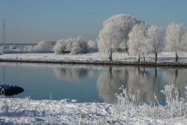 Wzrasta poziom wody w rzekach na Podlasiu