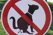 Straż miejska: psie odchody na trawnikach. Sprzątaj po pupilach!