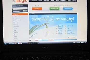 Zatrzymano podejrzanych o włamywanie się do kont aukcyjnych