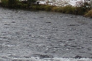 Policjanci wyciągnęli z rzeki pijanego mężczyznę