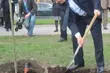 Zasadzono dęby upamiętniające ofiary Katynia i Smoleńska