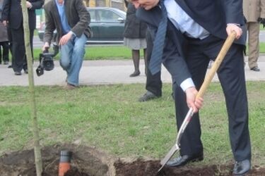 Zasadzono dęby upamiętniające ofiary Katynia i Smoleńska