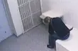 Zatrzymano fałszywego policjanta z Łomży