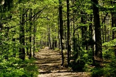 Prawie 6 mln na promocję naszego regionu