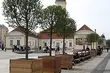 Białystok: W mieście przybywa zieleni