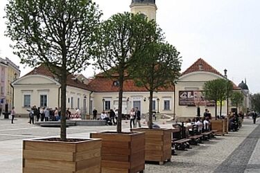 Białystok: W mieście przybywa zieleni