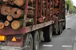 Tir groźnie potrącił przechodzącego przez jezdnię pieszego