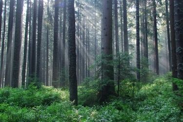 Uczniowie poznają parki krajobrazowe