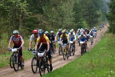 Dzika puszcza. Maraton rowerowy w Michałowie