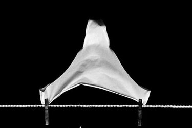  Pokaz finałowy Przeglądu Krótkich Form Filmowych  "4'63 " 