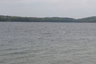 W Ogrodniczkach utonął 37-letni białostoczanin