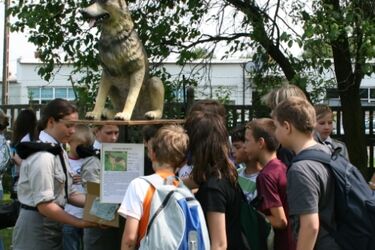 Ścieżka Reksa w schronisku