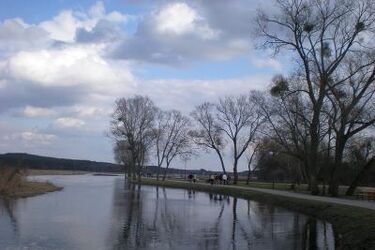 Czysta woda w podlaskich kąpieliskach