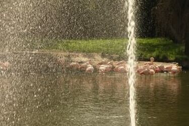 Białostoczan przed upałami ochronią kurtyny wodne