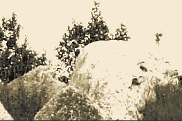 Rozpoczęły się obchody 65. rocznicy Obławy Augustowskiej