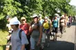 Pieszo do Chęstochowy. Trwają zapisy na pielgrzymkę