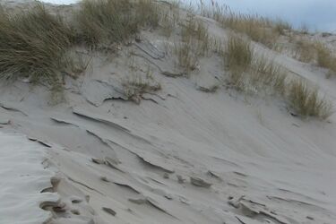 Zobacz Słowiński Park Narodowy