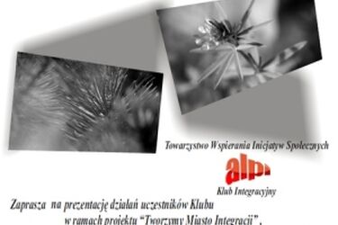 Miasto integracji na Węglowej