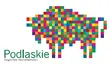 Pikselowy żubr: Rusza kampania promocyjna logo Podlasia