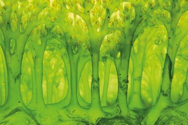 Fotografia dzikiej przyrody. Wystawa w Muzeum BPN