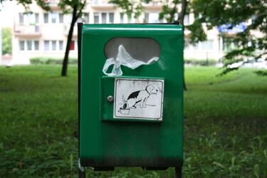 Miasto zachęca do sprzątania po czworonogach
