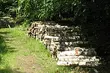 Mężczyzna zginął podczas wycinki drzew