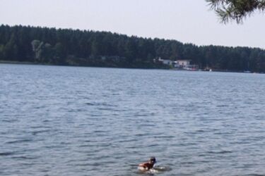 Rodzinna tragedia na dzikiej plaży na Bugu