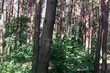Podlascy samorządowcy zaniepokojeni nową inicjatywą ekologów