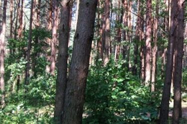 Podlascy samorządowcy zaniepokojeni nową inicjatywą ekologów