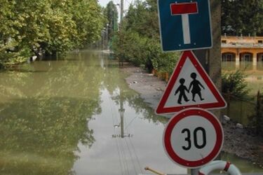 Podlascy leśnicy pomagają powodzianom