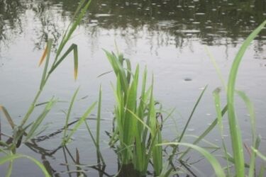 Przyznano pieniądze na remont mostu na Narwi